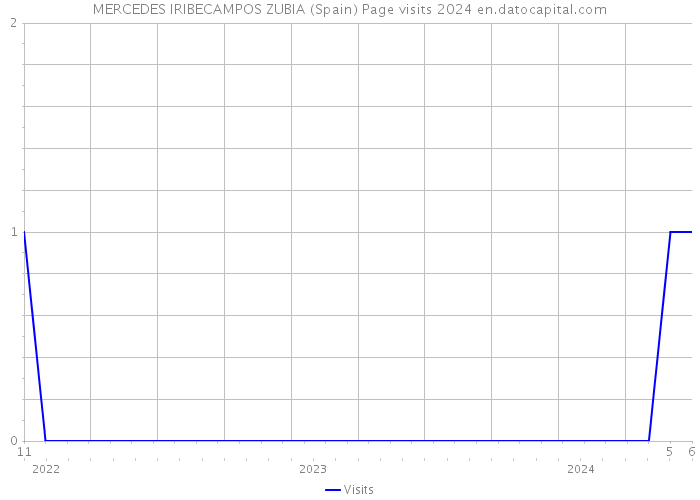 MERCEDES IRIBECAMPOS ZUBIA (Spain) Page visits 2024 