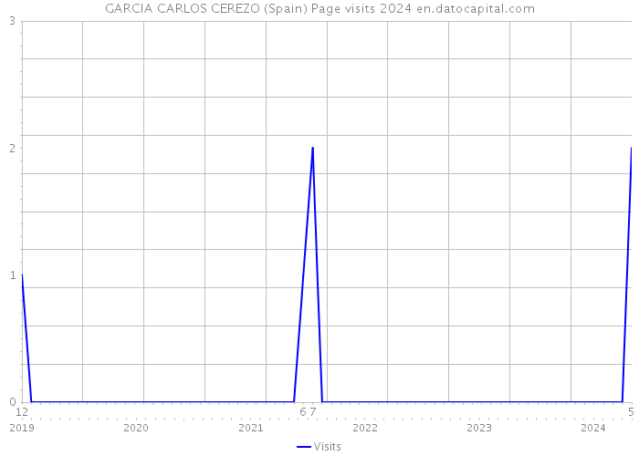 GARCIA CARLOS CEREZO (Spain) Page visits 2024 