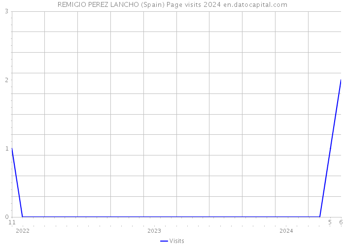 REMIGIO PEREZ LANCHO (Spain) Page visits 2024 