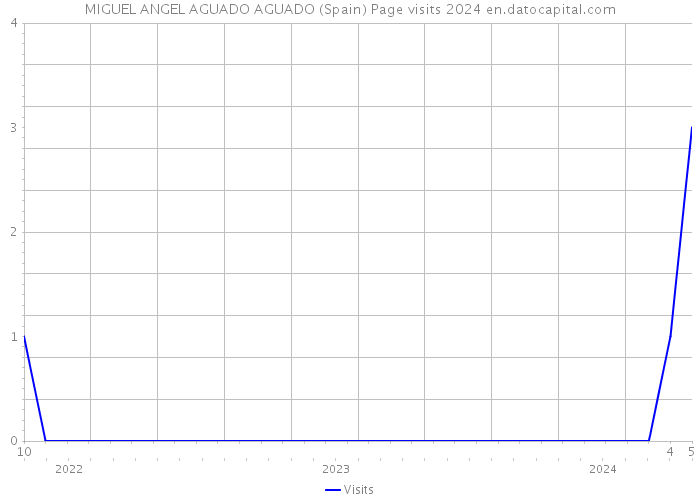 MIGUEL ANGEL AGUADO AGUADO (Spain) Page visits 2024 