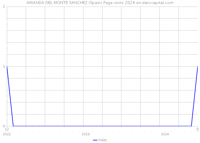 AMANDA DEL MONTE SANCHEZ (Spain) Page visits 2024 