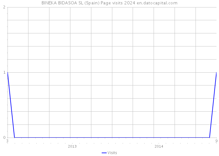 BINEKA BIDASOA SL (Spain) Page visits 2024 