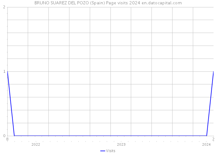 BRUNO SUAREZ DEL POZO (Spain) Page visits 2024 