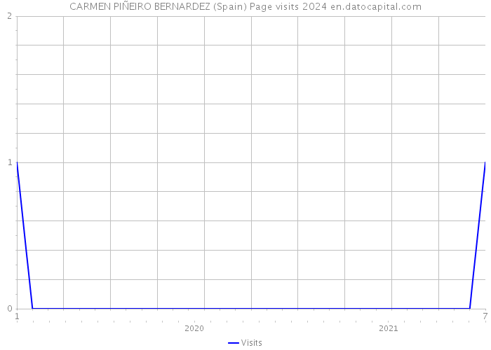 CARMEN PIÑEIRO BERNARDEZ (Spain) Page visits 2024 