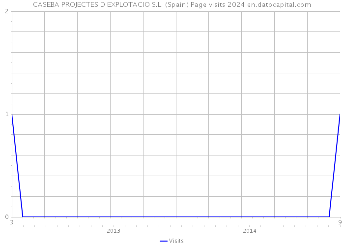 CASEBA PROJECTES D EXPLOTACIO S.L. (Spain) Page visits 2024 