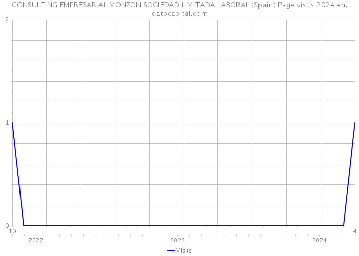 CONSULTING EMPRESARIAL MONZON SOCIEDAD LIMITADA LABORAL (Spain) Page visits 2024 