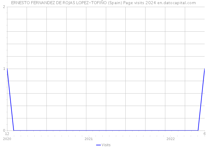 ERNESTO FERNANDEZ DE ROJAS LOPEZ-TOFIÑO (Spain) Page visits 2024 