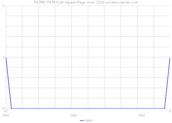 FILIPEK PATRYCJA (Spain) Page visits 2024 