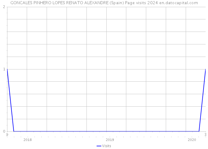GONCALES PINHERO LOPES RENATO ALEXANDRE (Spain) Page visits 2024 