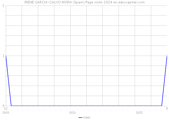 IRENE GARCIA-CALVO MORA (Spain) Page visits 2024 