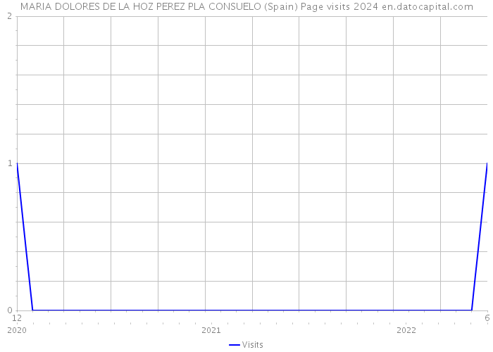 MARIA DOLORES DE LA HOZ PEREZ PLA CONSUELO (Spain) Page visits 2024 