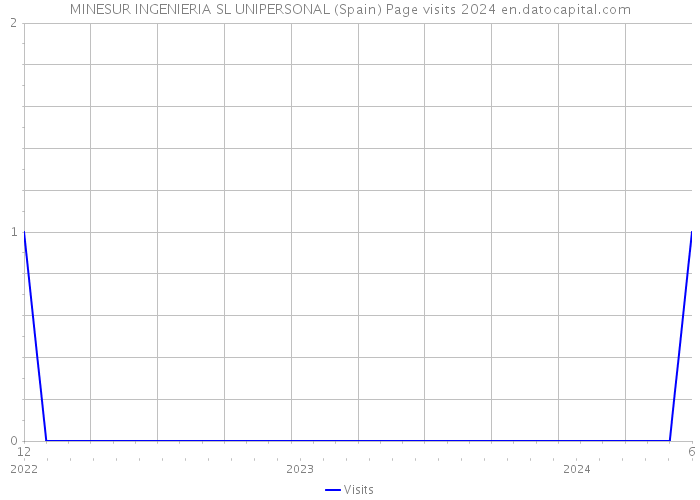 MINESUR INGENIERIA SL UNIPERSONAL (Spain) Page visits 2024 