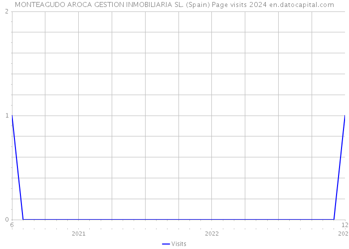 MONTEAGUDO AROCA GESTION INMOBILIARIA SL. (Spain) Page visits 2024 