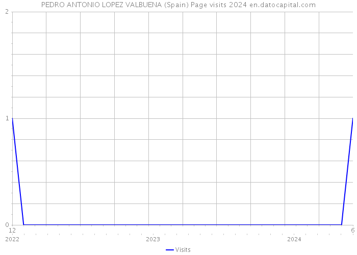 PEDRO ANTONIO LOPEZ VALBUENA (Spain) Page visits 2024 