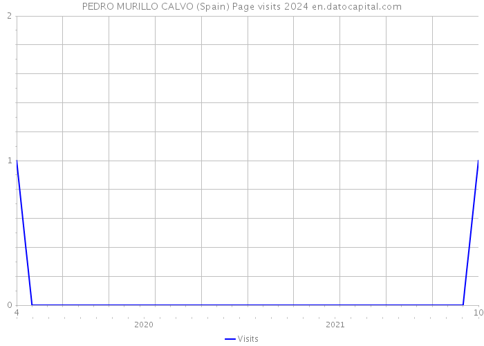 PEDRO MURILLO CALVO (Spain) Page visits 2024 