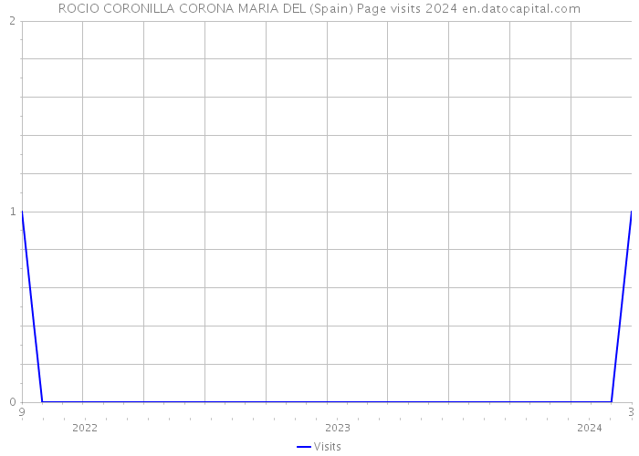 ROCIO CORONILLA CORONA MARIA DEL (Spain) Page visits 2024 