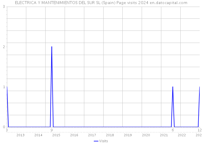 ELECTRICA Y MANTENIMIENTOS DEL SUR SL (Spain) Page visits 2024 