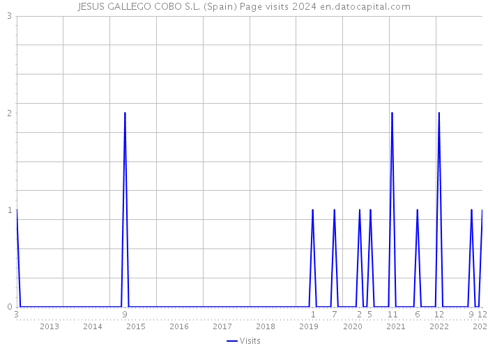 JESUS GALLEGO COBO S.L. (Spain) Page visits 2024 