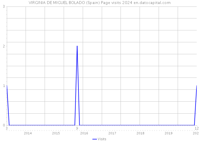 VIRGINIA DE MIGUEL BOLADO (Spain) Page visits 2024 