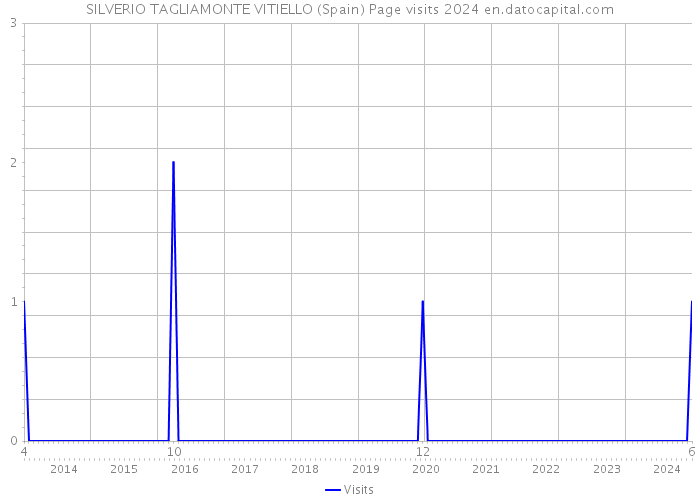 SILVERIO TAGLIAMONTE VITIELLO (Spain) Page visits 2024 