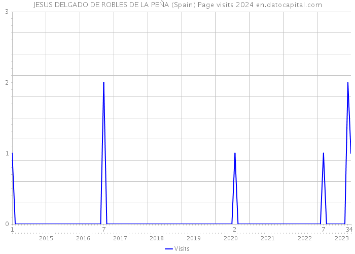 JESUS DELGADO DE ROBLES DE LA PEÑA (Spain) Page visits 2024 