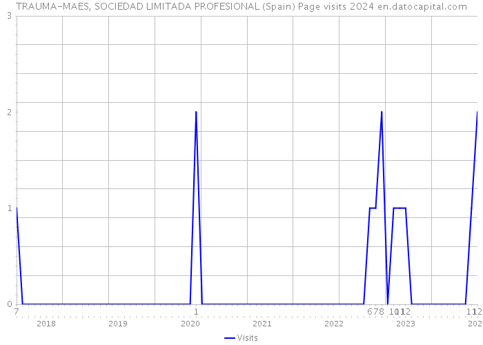 TRAUMA-MAES, SOCIEDAD LIMITADA PROFESIONAL (Spain) Page visits 2024 