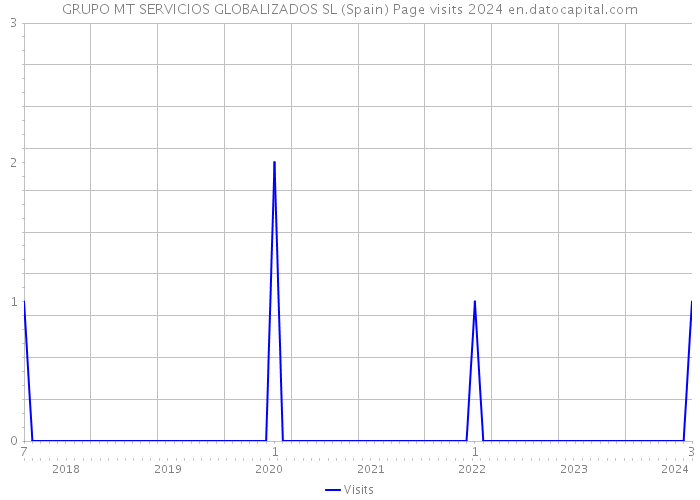 GRUPO MT SERVICIOS GLOBALIZADOS SL (Spain) Page visits 2024 