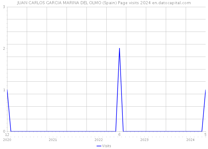 JUAN CARLOS GARCIA MARINA DEL OLMO (Spain) Page visits 2024 