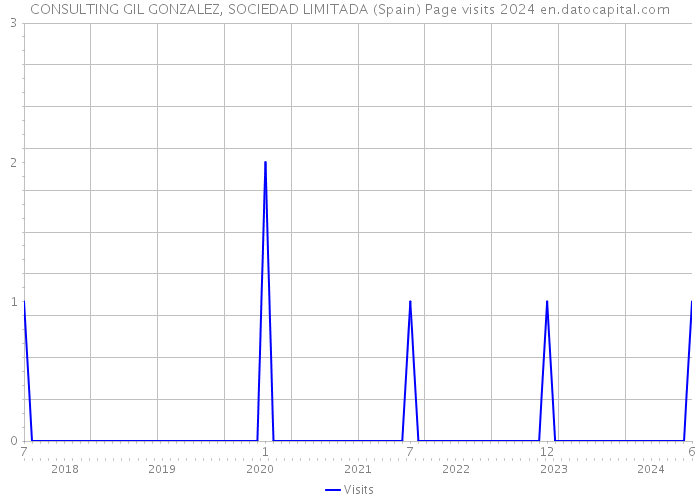 CONSULTING GIL GONZALEZ, SOCIEDAD LIMITADA (Spain) Page visits 2024 