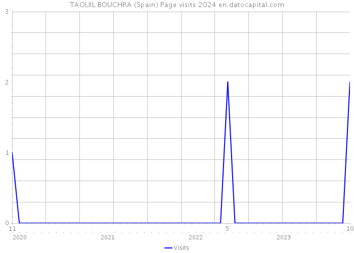 TAOUIL BOUCHRA (Spain) Page visits 2024 