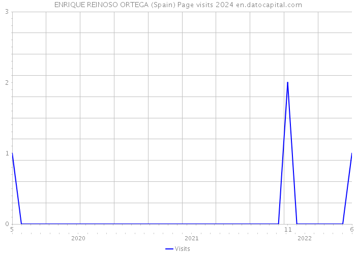 ENRIQUE REINOSO ORTEGA (Spain) Page visits 2024 