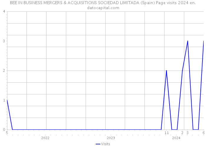 BEE IN BUSINESS MERGERS & ACQUISITIONS SOCIEDAD LIMITADA (Spain) Page visits 2024 