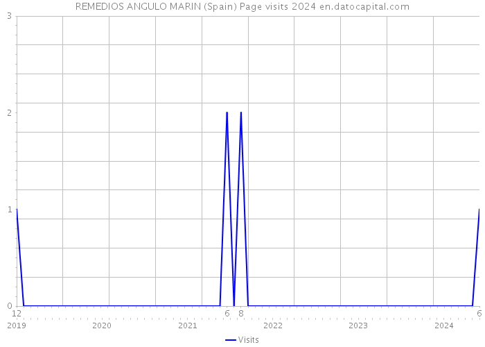 REMEDIOS ANGULO MARIN (Spain) Page visits 2024 