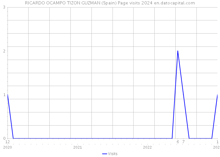 RICARDO OCAMPO TIZON GUZMAN (Spain) Page visits 2024 