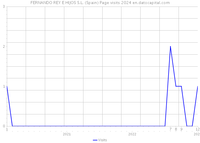 FERNANDO REY E HIJOS S.L. (Spain) Page visits 2024 