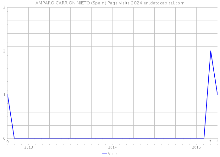 AMPARO CARRION NIETO (Spain) Page visits 2024 