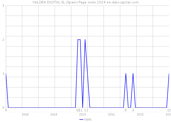 VALORA DIGITAL SL (Spain) Page visits 2024 