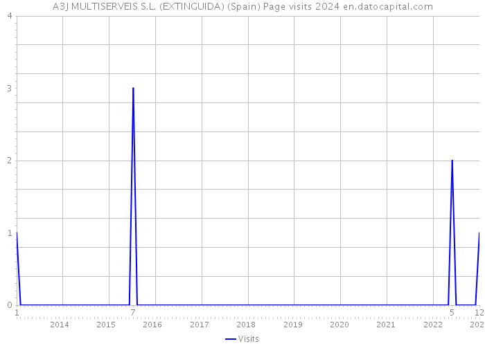 A3J MULTISERVEIS S.L. (EXTINGUIDA) (Spain) Page visits 2024 