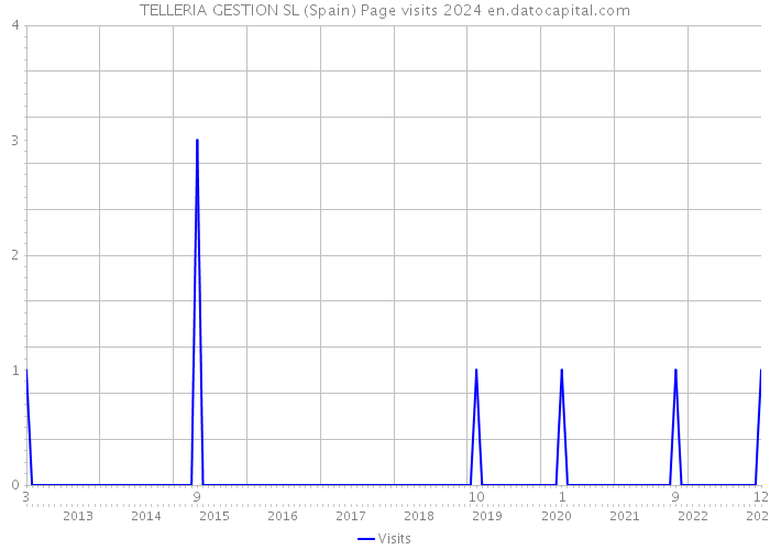 TELLERIA GESTION SL (Spain) Page visits 2024 