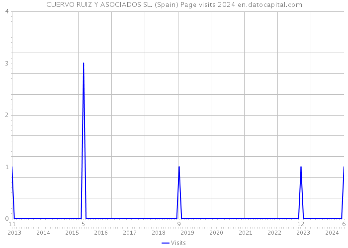 CUERVO RUIZ Y ASOCIADOS SL. (Spain) Page visits 2024 