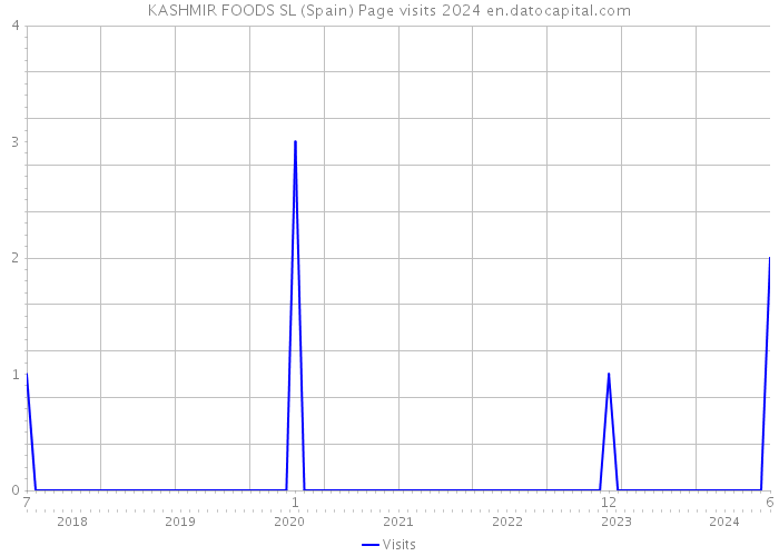 KASHMIR FOODS SL (Spain) Page visits 2024 