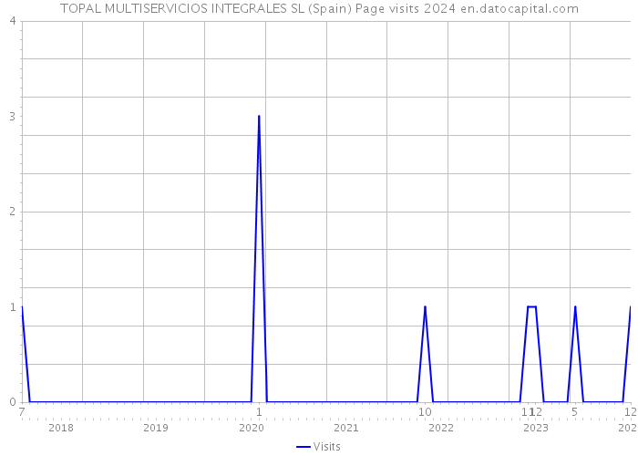TOPAL MULTISERVICIOS INTEGRALES SL (Spain) Page visits 2024 