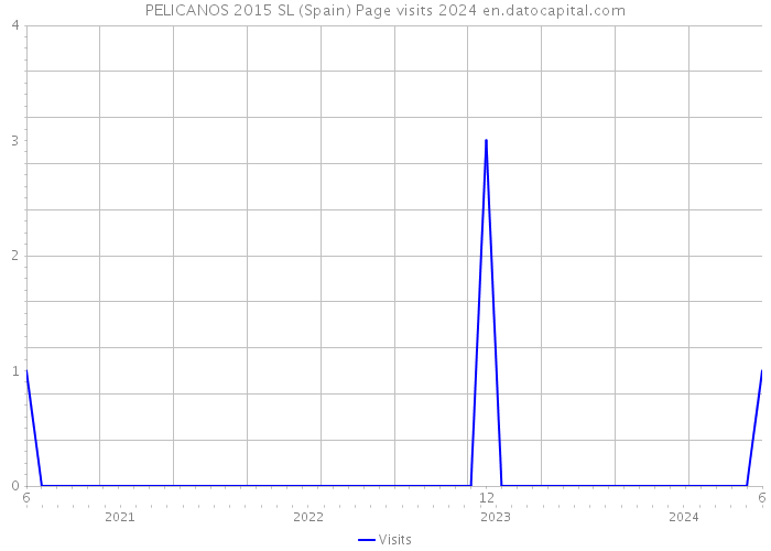 PELICANOS 2015 SL (Spain) Page visits 2024 