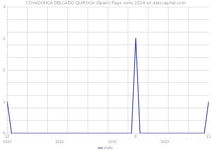 COVADONGA DELGADO QUIROGA (Spain) Page visits 2024 