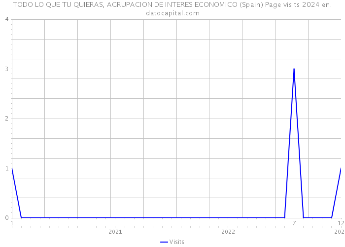 TODO LO QUE TU QUIERAS, AGRUPACION DE INTERES ECONOMICO (Spain) Page visits 2024 