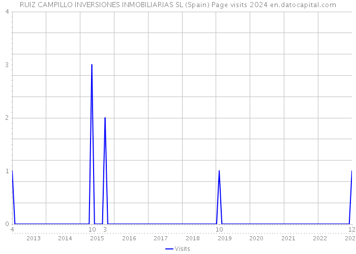 RUIZ CAMPILLO INVERSIONES INMOBILIARIAS SL (Spain) Page visits 2024 