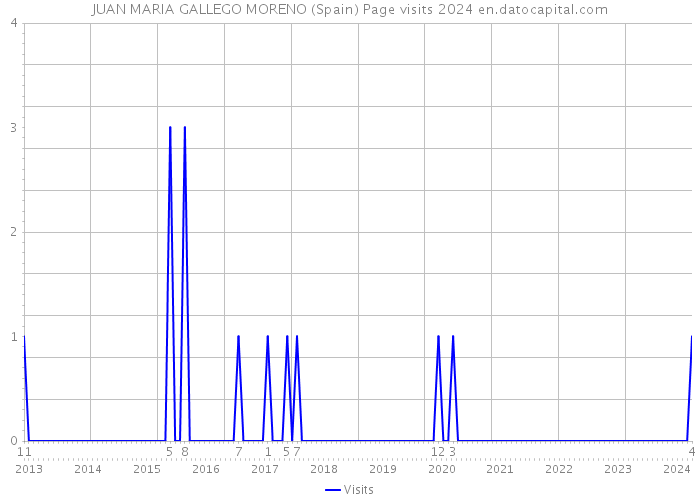 JUAN MARIA GALLEGO MORENO (Spain) Page visits 2024 