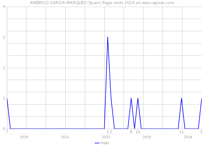 AMERICO GARCIA MARQUEZ (Spain) Page visits 2024 