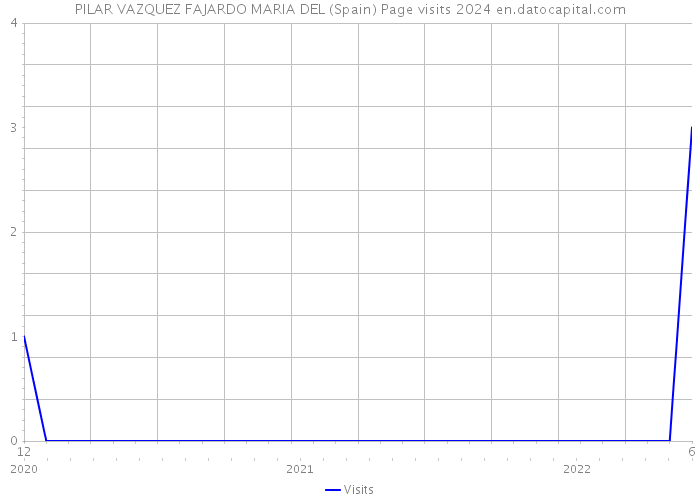 PILAR VAZQUEZ FAJARDO MARIA DEL (Spain) Page visits 2024 