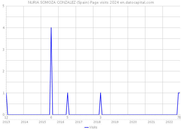 NURIA SOMOZA GONZALEZ (Spain) Page visits 2024 